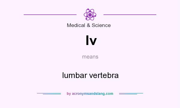 What does lv mean? It stands for lumbar vertebra