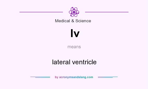 What does lv mean? It stands for lateral ventricle