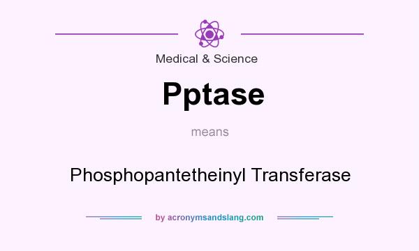 What does Pptase mean? It stands for Phosphopantetheinyl Transferase