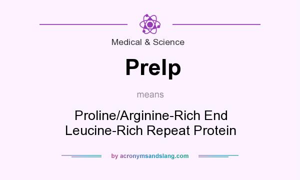 What does Prelp mean? It stands for Proline/Arginine-Rich End Leucine-Rich Repeat Protein