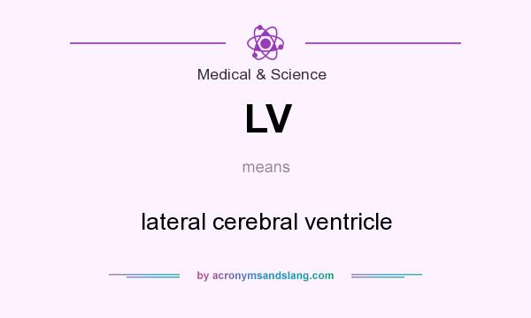 What does LV mean? It stands for lateral cerebral ventricle