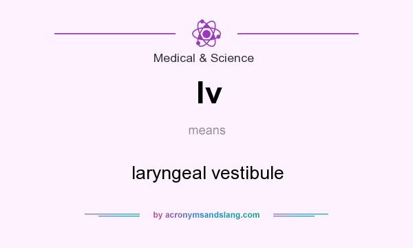 What does lv mean? It stands for laryngeal vestibule