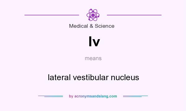 What does lv mean? It stands for lateral vestibular nucleus