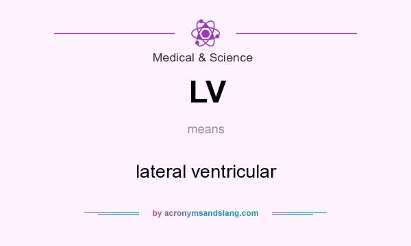 What does LV mean? It stands for lateral ventricular
