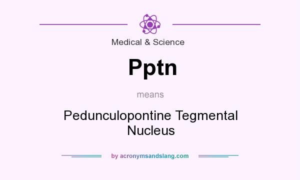 What does Pptn mean? It stands for Pedunculopontine Tegmental Nucleus