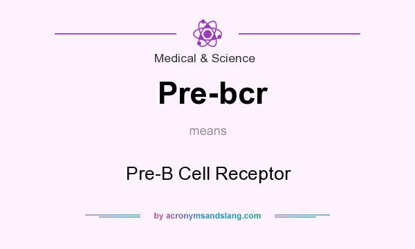 What does Pre-bcr mean? It stands for Pre-B Cell Receptor