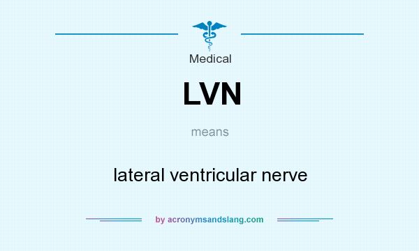 What does LVN mean? It stands for lateral ventricular nerve