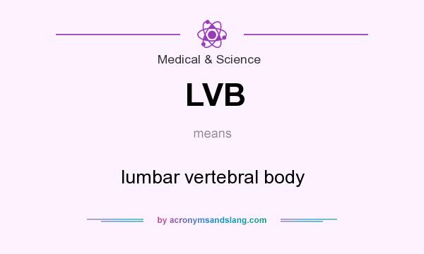 What does LVB mean? It stands for lumbar vertebral body