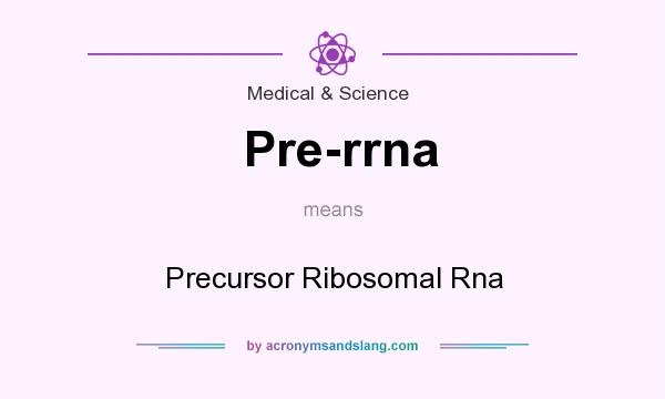 What does Pre-rrna mean? It stands for Precursor Ribosomal Rna