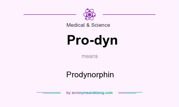 What does Pro-dyn mean? It stands for Prodynorphin