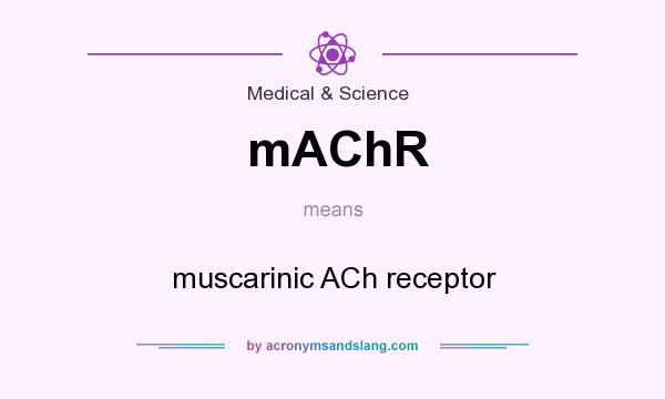 What does mAChR mean? It stands for muscarinic ACh receptor