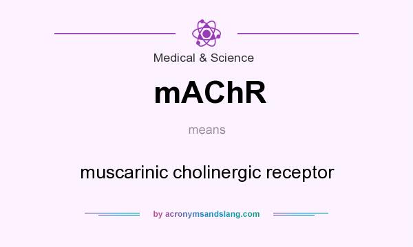 What does mAChR mean? It stands for muscarinic cholinergic receptor