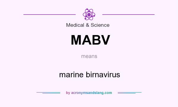 What does MABV mean? It stands for marine birnavirus