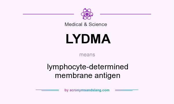 What does LYDMA mean? It stands for lymphocyte-determined membrane antigen