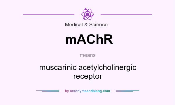 What does mAChR mean? It stands for muscarinic acetylcholinergic receptor