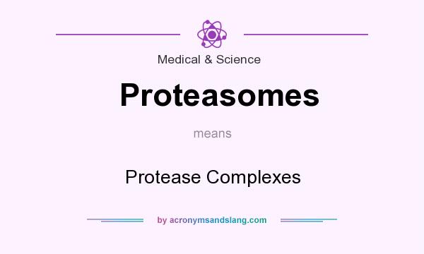 What does Proteasomes mean? It stands for Protease Complexes