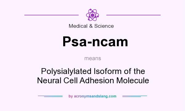 What does Psa-ncam mean? It stands for Polysialylated Isoform of the Neural Cell Adhesion Molecule