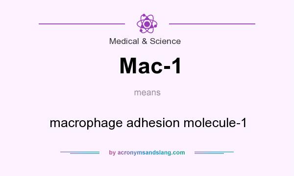 What does Mac-1 mean? It stands for macrophage adhesion molecule-1