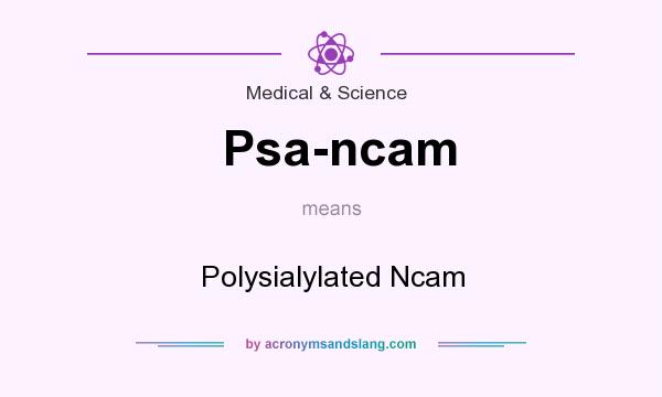What does Psa-ncam mean? It stands for Polysialylated Ncam