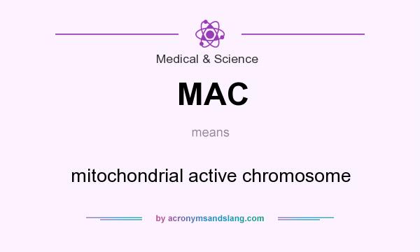 What does MAC mean? It stands for mitochondrial active chromosome