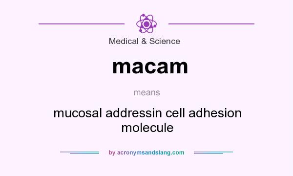 What does macam mean? It stands for mucosal addressin cell adhesion molecule
