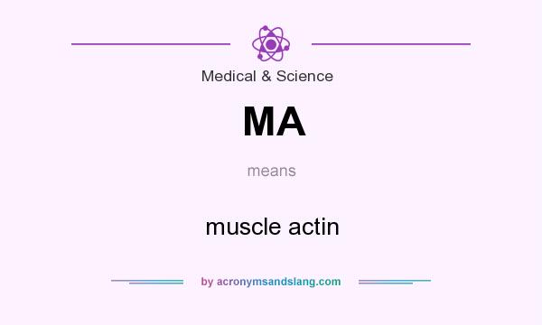 What does MA mean? It stands for muscle actin