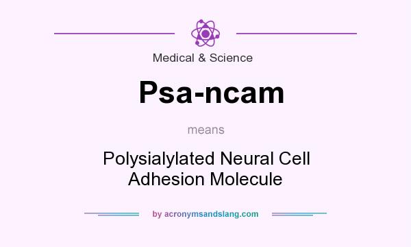 What does Psa-ncam mean? It stands for Polysialylated Neural Cell Adhesion Molecule
