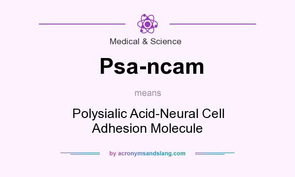 What does Psa-ncam mean? It stands for Polysialic Acid-Neural Cell Adhesion Molecule