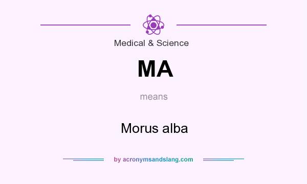 What does MA mean? It stands for Morus alba