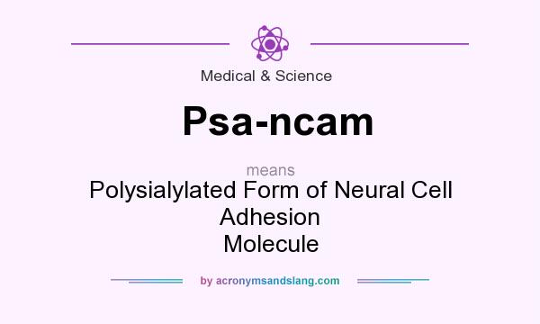 What does Psa-ncam mean? It stands for Polysialylated Form of Neural Cell Adhesion Molecule