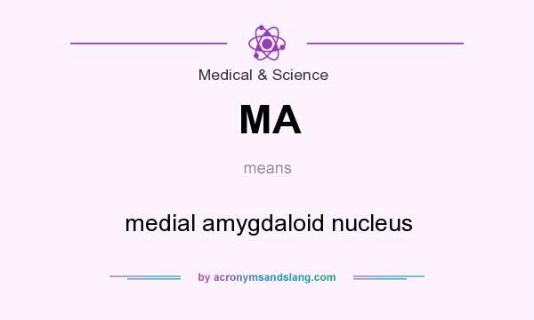 What does MA mean? It stands for medial amygdaloid nucleus