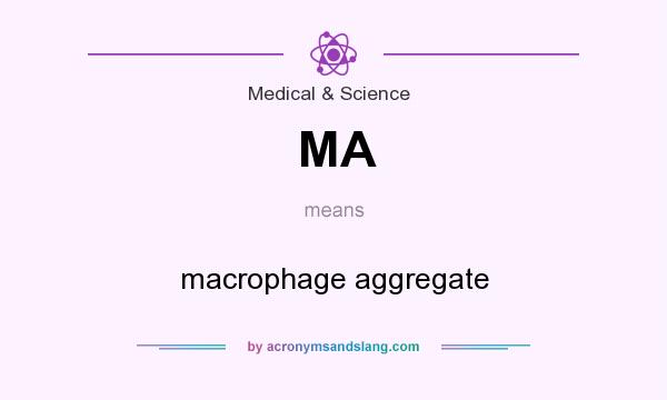 What does MA mean? It stands for macrophage aggregate