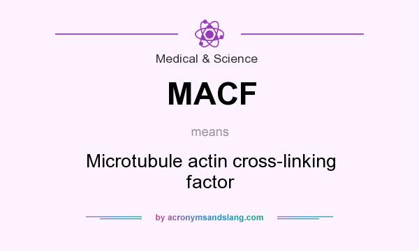 What does MACF mean? It stands for Microtubule actin cross-linking factor
