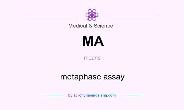 What does MA mean? It stands for metaphase assay