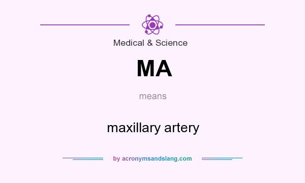 What does MA mean? It stands for maxillary artery