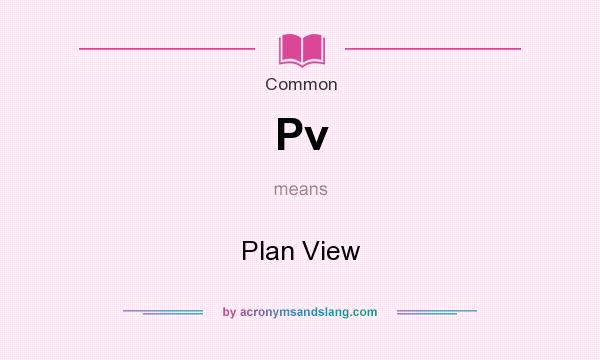 What does Pv mean? It stands for Plan View