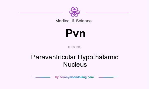 What does Pvn mean? It stands for Paraventricular Hypothalamic Nucleus