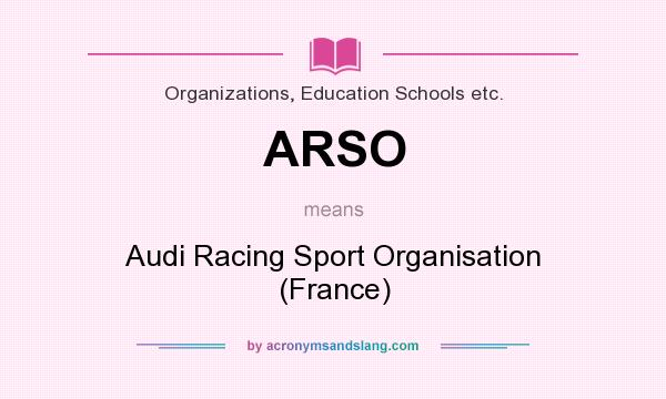 What does ARSO mean? It stands for Audi Racing Sport Organisation (France)