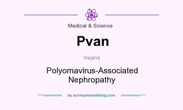 What does Pvan mean? It stands for Polyomavirus-Associated Nephropathy