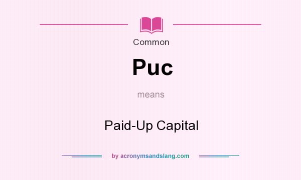 What does Puc mean? It stands for Paid-Up Capital