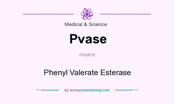 What does Pvase mean? It stands for Phenyl Valerate Esterase