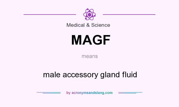What does MAGF mean? It stands for male accessory gland fluid