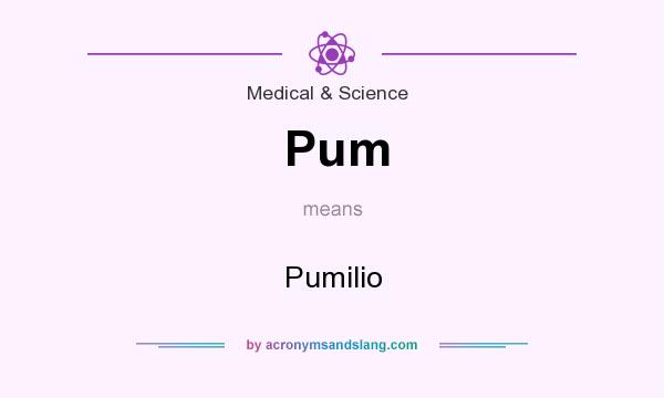 What does Pum mean? It stands for Pumilio