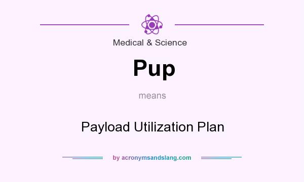 What does Pup mean? It stands for Payload Utilization Plan