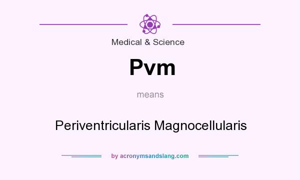 What does Pvm mean? It stands for Periventricularis Magnocellularis
