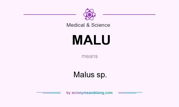 What does MALU mean? It stands for Malus sp.
