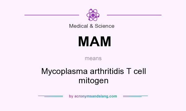 What does MAM mean? It stands for Mycoplasma arthritidis T cell mitogen