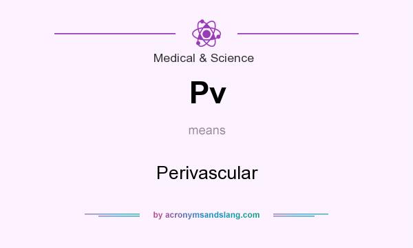 What does Pv mean? It stands for Perivascular
