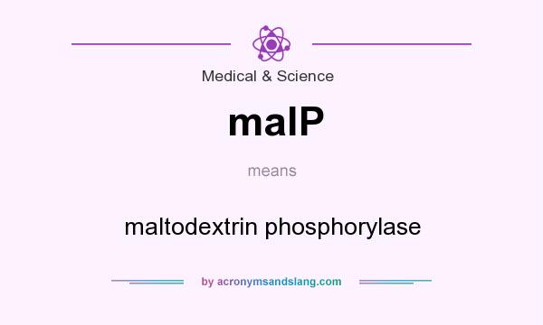 What does malP mean? It stands for maltodextrin phosphorylase
