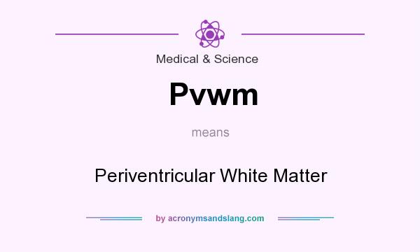 What does Pvwm mean? It stands for Periventricular White Matter